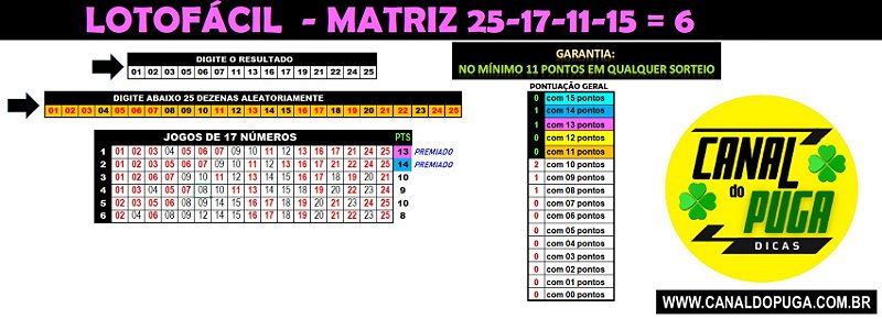 Planilha Lotofacil - 25 Dezenas Combinadas em Jogos de 17 Numeros ...