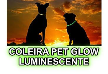 Coleira Pet Glow Corion p/ Cachorro Gato Brilha No Escuro Sem Bateria. + Segurança