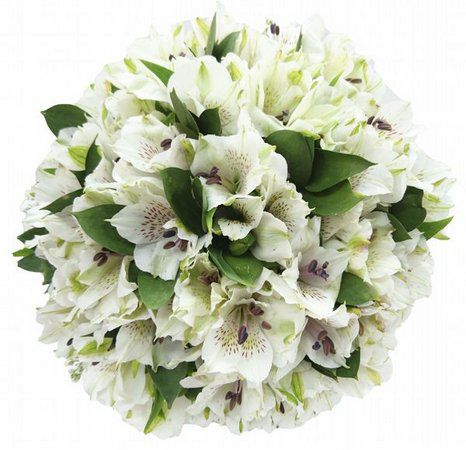 Vaso de Astromélia | Floricultura BH | Flores BH - Floricultura BH, Cestas  de Flores BH, Buquê de Flores BH