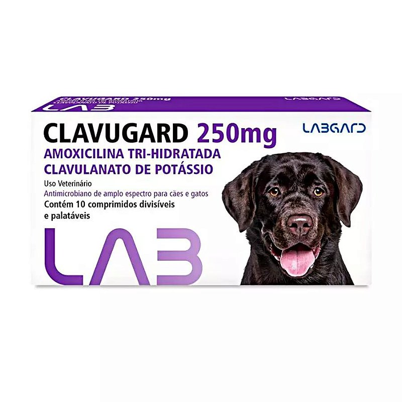 Antimicrobiano Clavugard Labgard 250mg para Cães e Gatos 10 Comprimidos