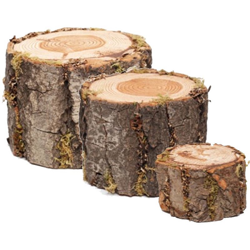 Pa Lpito De Madeira Rustico