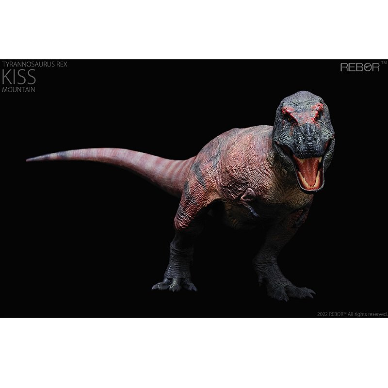 TIRANOSSAURO REX KISS REBOR MONTANHA MINIATURA DE T-REX ACURADO