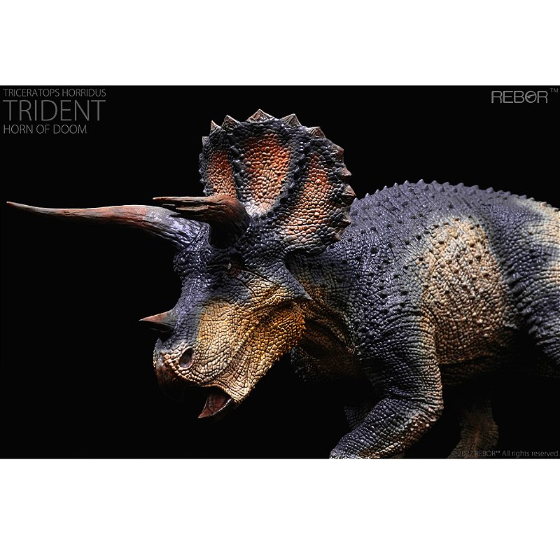 TRICERATOPS HORN OF DOOM REBOR RÉPLICA DINOSSAURO MACHO