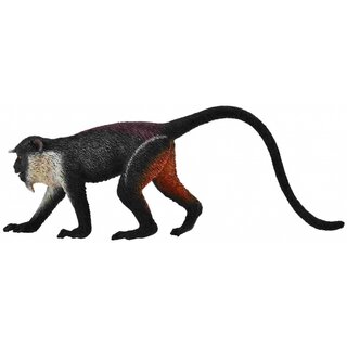 MACACO-DE-DIANA COLLECTA MINIATURA DE ANIMAL SELVAGEM MAMÍFERO