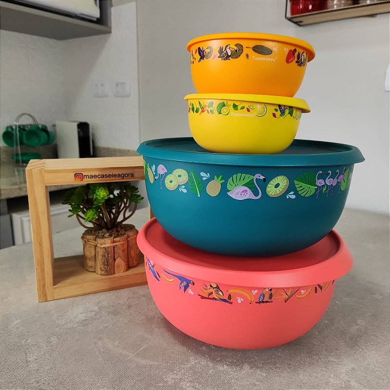 Tupperware Kit 4 Peças Toque Mágico Tropical Cores - Mãe, Casei e