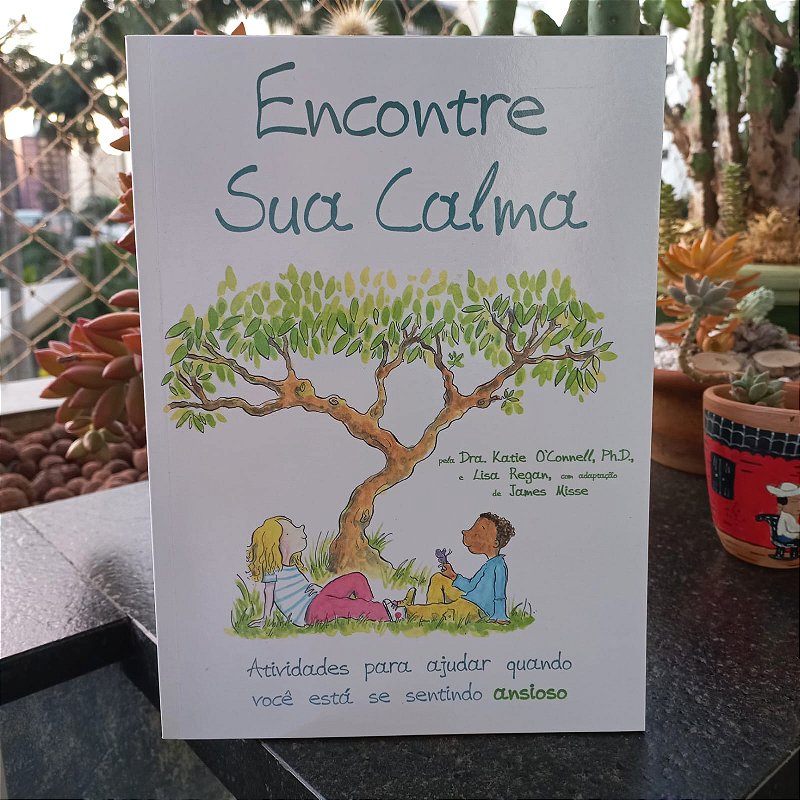 Coleção Encontre: Encontre sua calma, Encontre sua Coragem , Encontre sua Felicidade- 3 livros