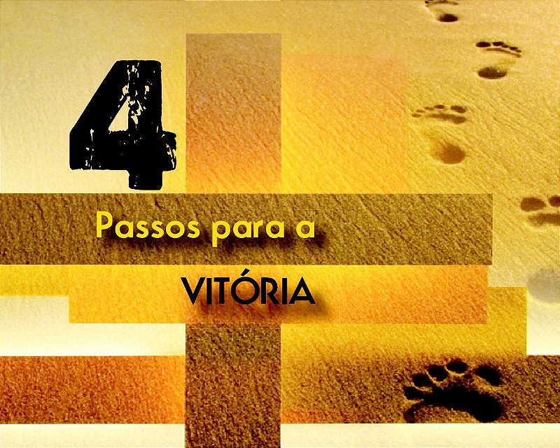 Livreto 4 passos para a vitória - SGM Loja
