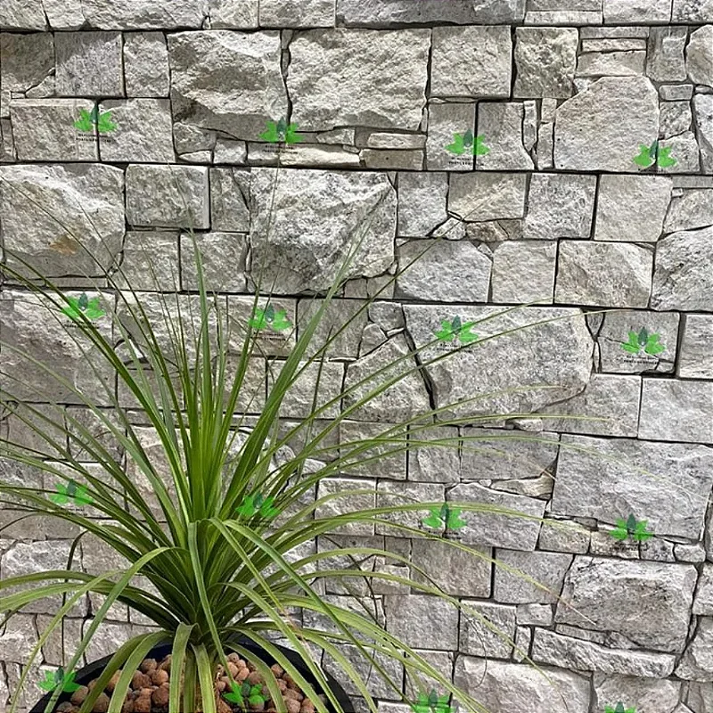 Pedra Espanha Cotton 20X60 - ( Preço /m² )