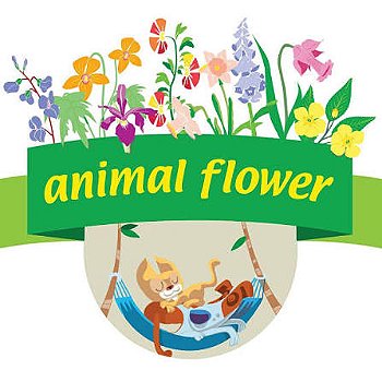 Animal Flower