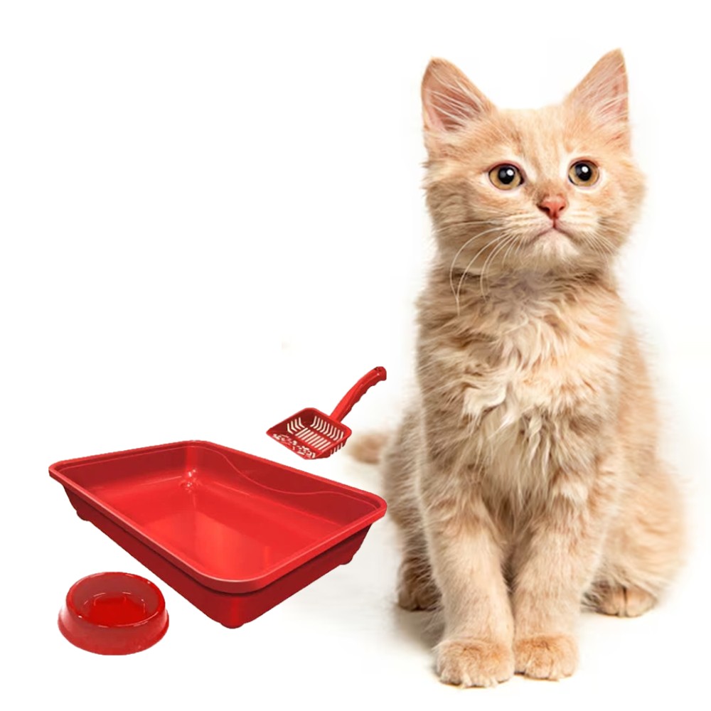 Kit Bandeija Pá Higiênica e Comedouro Azul | Zenpet Brasil