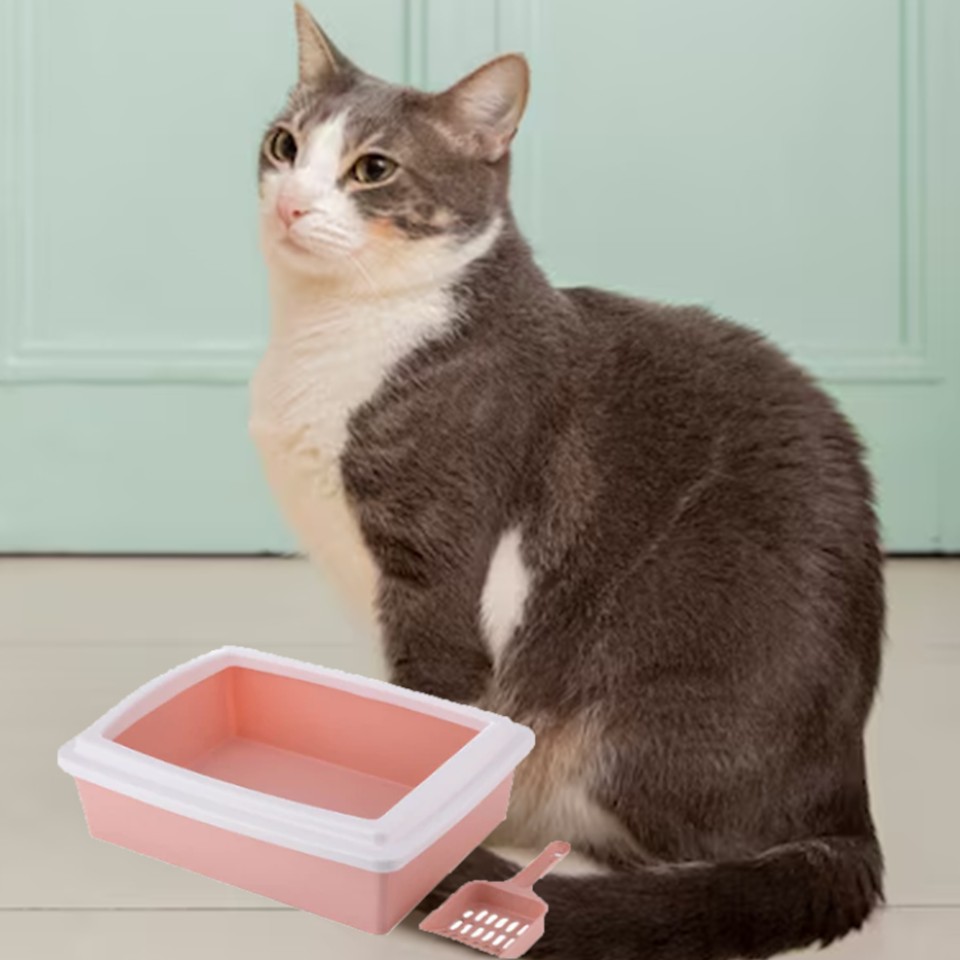 Caixa de Areia para Gatos Basic Azul | Jambo Pet - Petshop Online