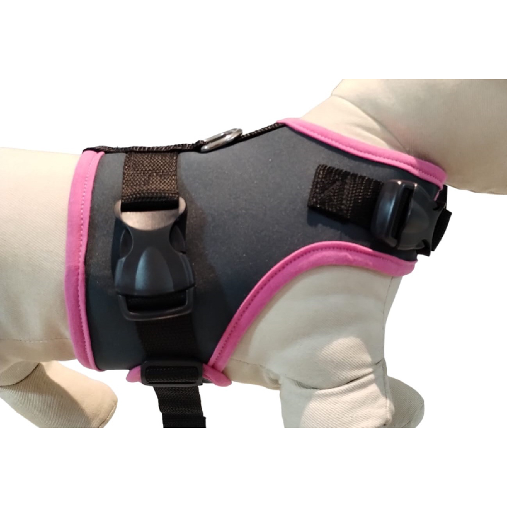 Peitoral de Neoprene com Guia para Cães P | Luna Lua - Petshop