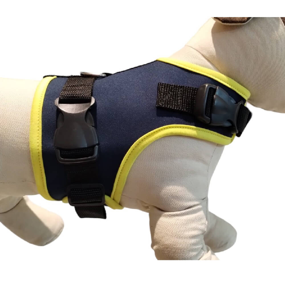Peitoral de Neoprene com Guia para Cães P | Luna Lua - Petshop