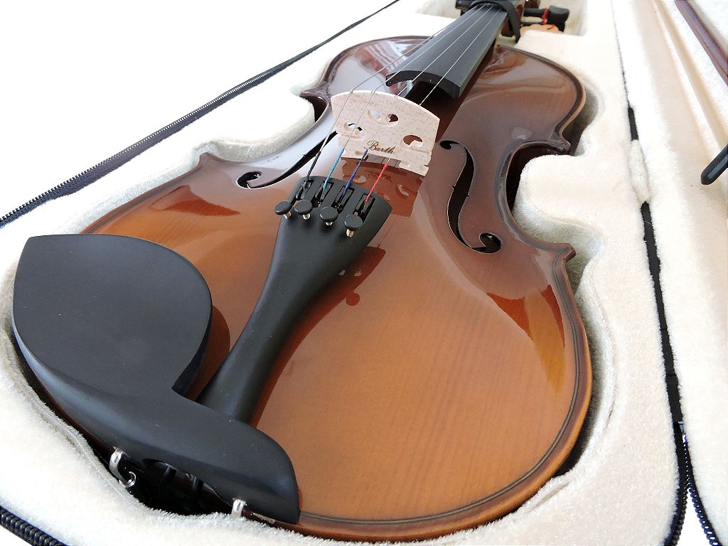 Violino Barth Violin 4/4 Old Bright - Solid Wood + Estojo Cr +
