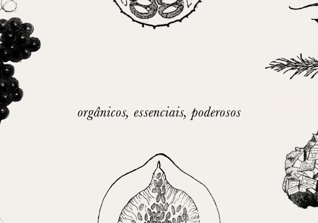 ingredientes