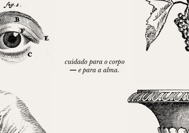 ingredientes