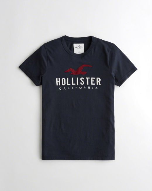 CAMISETA HOLLISTER MUSCLE FIT GRAPHIC - The End Company