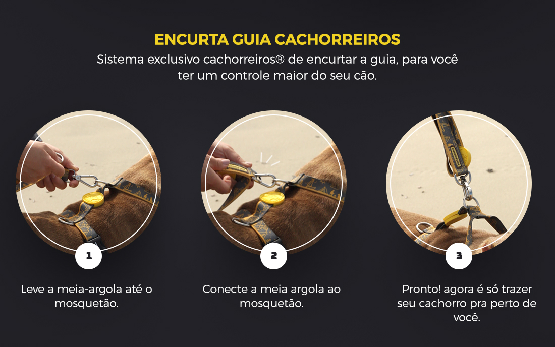 Super Guia para Cachorro Outdoor Cachorreiros