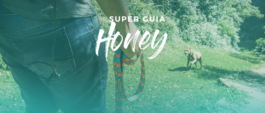 Super Guia para Cachorro Honey Cachorreiros