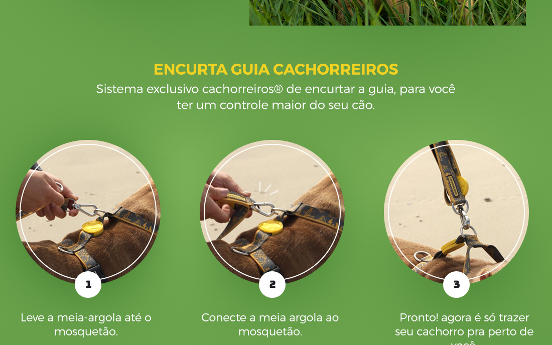 Super Guia para Cachorro Honey Cachorreiros