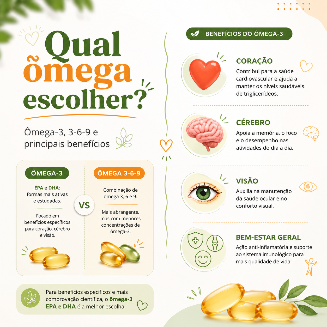 Como escolher o ômega mais adequado para cada objetivo