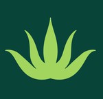 livealoe