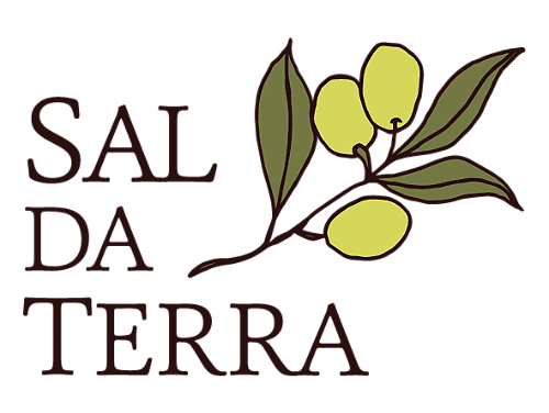 Resultado de imagem para sal da terra