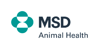 MSD