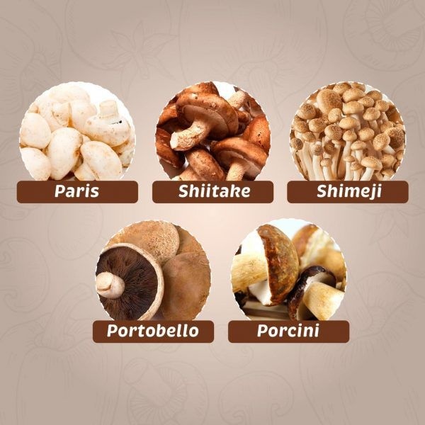 Kit Cogumelos (Paris/ Shitake/ Shimeji/ Portobello/ Porcini) - Ingredientes  Santa Vita