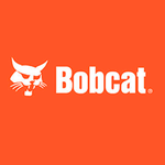 Bobcat